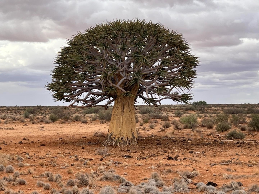 1 Bedroom Property for Sale in Kenhardt Northern Cape